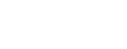 Coursier Lyon 4